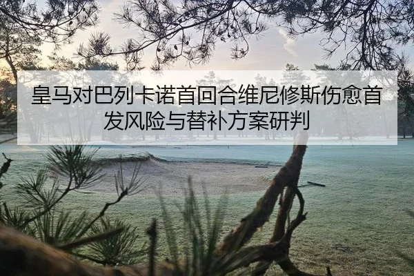 huang-ma-dui-ba-lie-ka-nuo-shou-hui-he-wei-ni-xiu-si-shang-yu-shou-fa-feng-xian-yu-ti-bu-fang-an-yan-pan-2-706.jpg